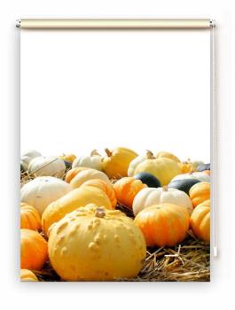 Rollo Kürbiszeit, Rollo, Motivrollo, Rollo mit Druck, Fotorollo, bedrucktes Rollo, Fensterrollo,verdunkelndes Rollo, Sonnenschutz Rollo